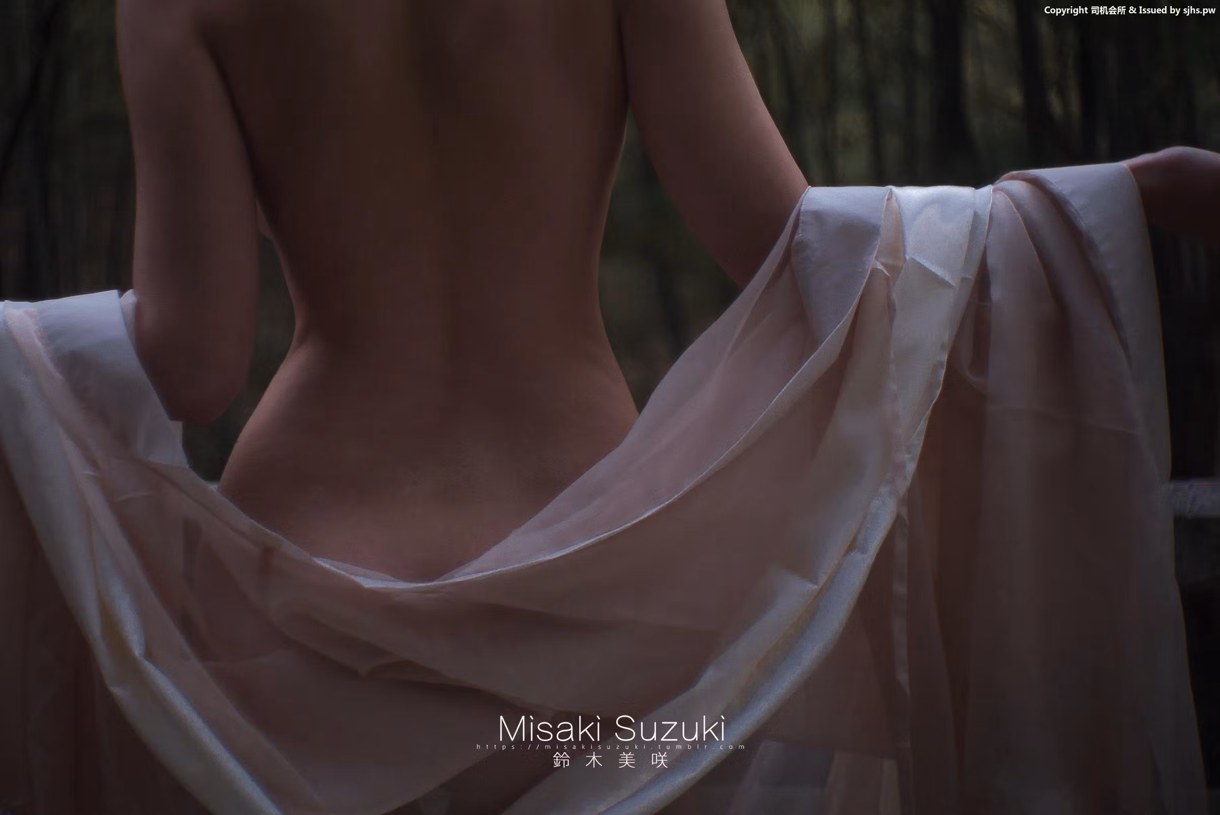露穴漏点福利系列之极致全裸私房露出美臀曲线